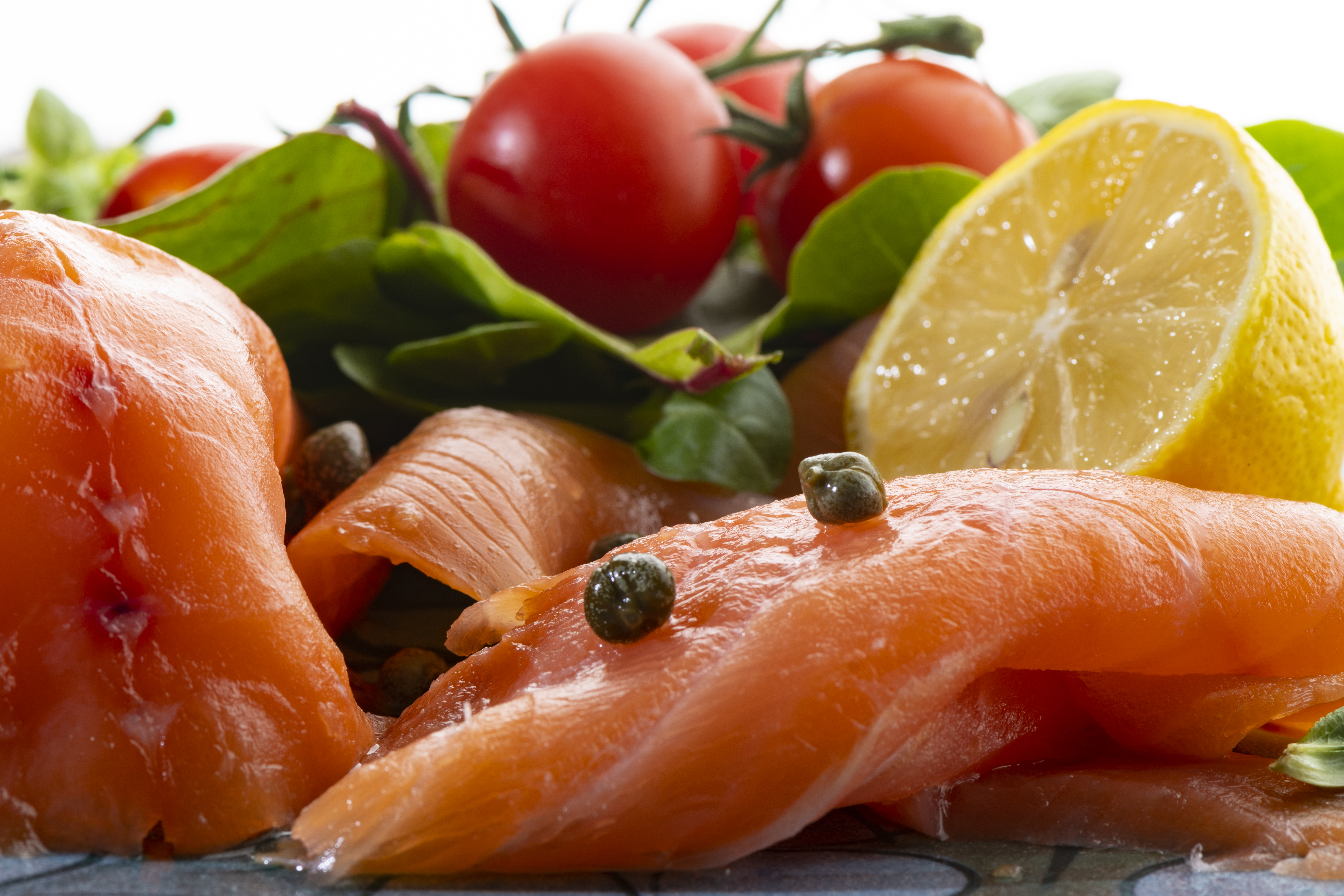 Salmon